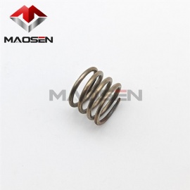 X927D278H01 Compression Spring